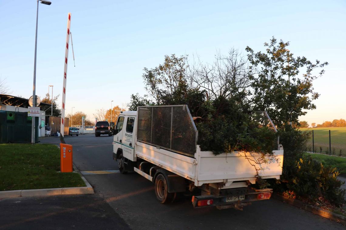 Tarif Évacuation des Déchets Verts : Prix au m3